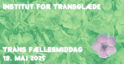 Trans fællesmiddag Maj 2025 i Århus