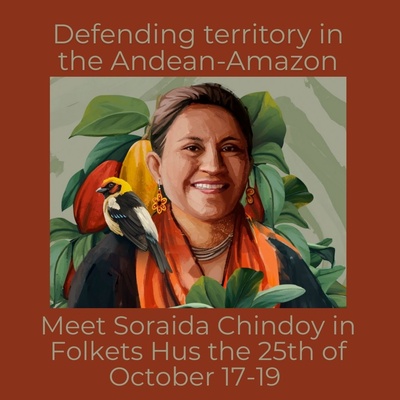 Defending territory in the Andean Amazon