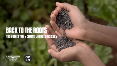 back to the roots - the mother tree X climate justice days 2024