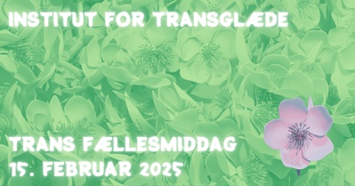 Trans fællesmiddag Maj 2025 i Århus