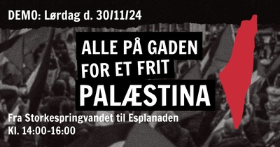 Palæstina-demonstration d. 30. november: Storkespringvandet til Esplanaden