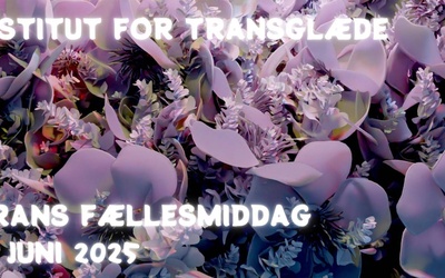 Trans fællesmiddag Juni 2025 af Institut for Transglæde