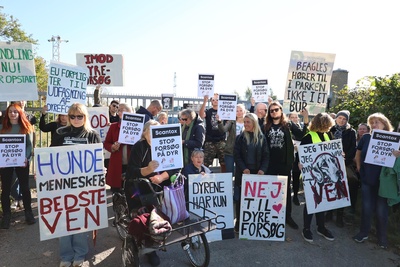 Demonstration og gåtur for forsøgsdyrene i Viby Sjælland