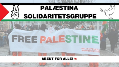 Palæstina Solidaritetsgruppe