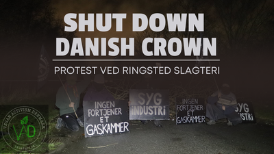 SHUT DOWN DANISH CROWN - protest Ringsted