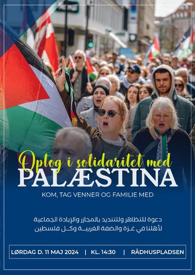Solidaritet med Palæstina (Aarhus)