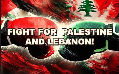 FIGHT FOR PALESTINE AND LEBANON 🇵🇸🥊🇱🇧