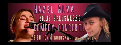 Comedy concert night at Bobuska!