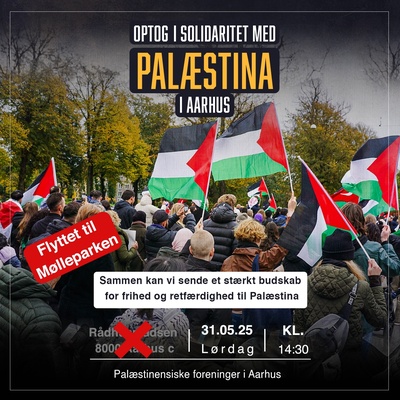 Optog i solidaritet med Palæstina ( Flyttet til Mølleparken)
