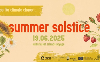 Seasonal Gathering: Summer Solstice by NOAH