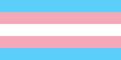 Transgender day of visibility