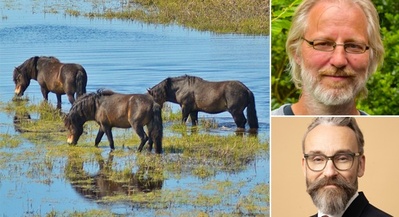 DEBATAFTEN OM BYNÆR NATURNATIONALPARK AMAGER