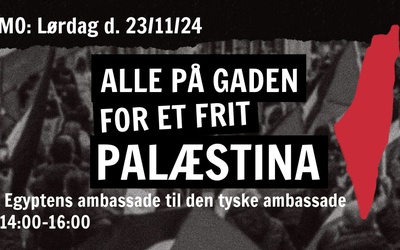 Palæstina-demonstration til den tyske ambassade