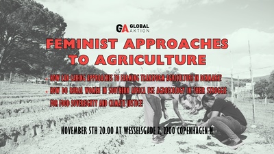 Feminist approaches to agriculture