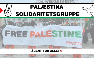 Palæstina Solidaritetsgruppe