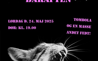 Baraften på Strafbar