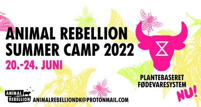 Animal Rebellion Summer Camp