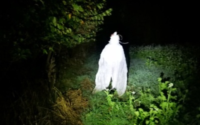 Becoming Moth: En tilblivelsesproces i fuldmåne
