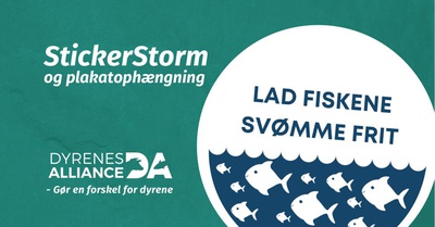 Frie Finner - StickerStorm og Plakatophængning