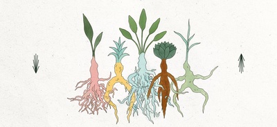 ROOTED festival