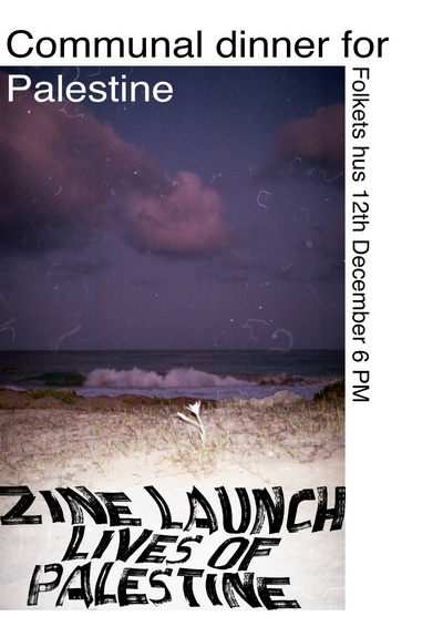 Comunnaldinner and zine launch for palestine