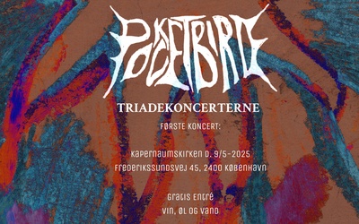 Pocketbird koncert i Kapernaum