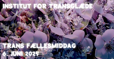 Trans fællesmiddag Juni 2025 af Institut for Transglæde