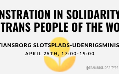 Trans Solidarity Demonstration!
